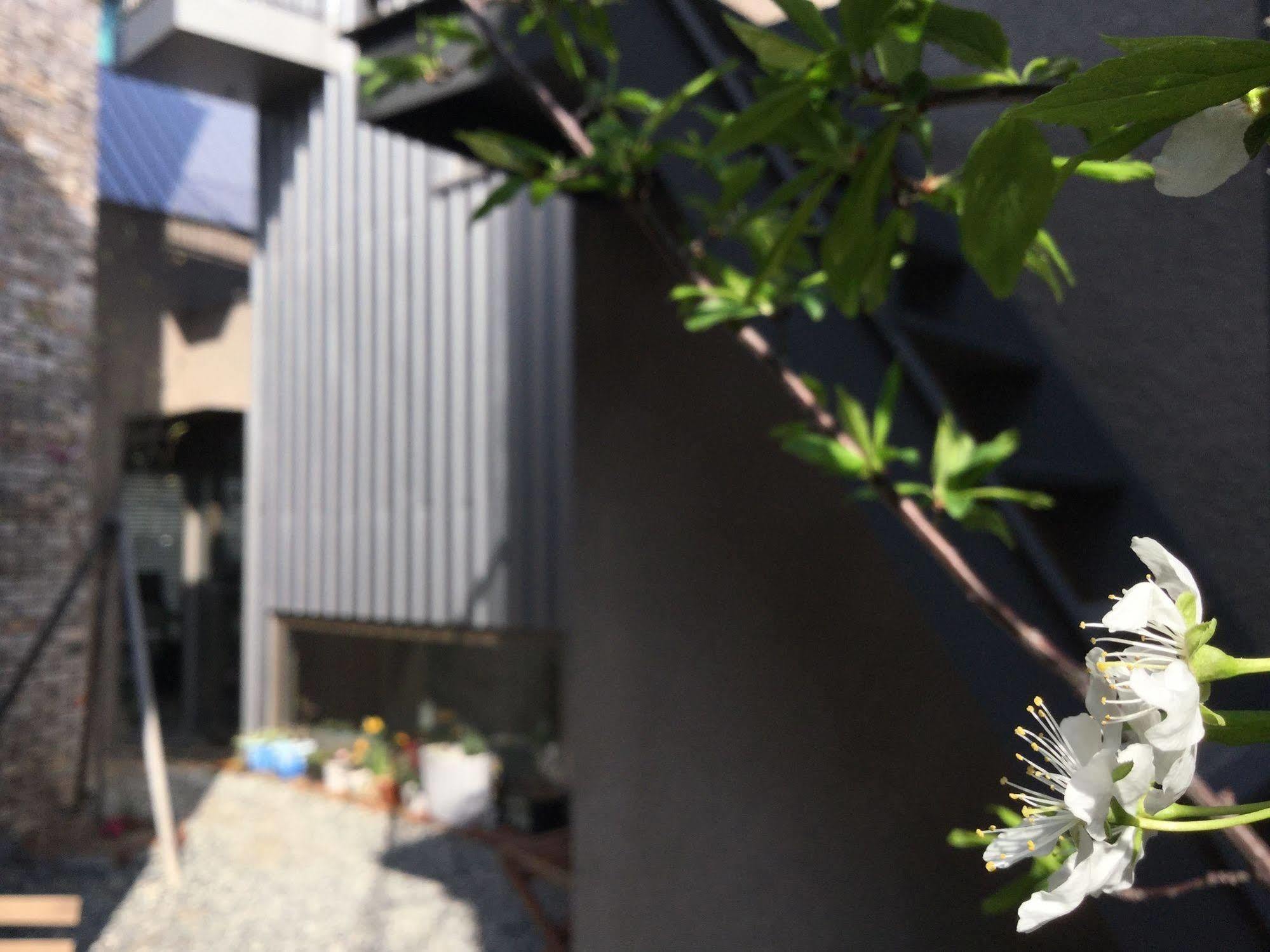 旅馆 Inside